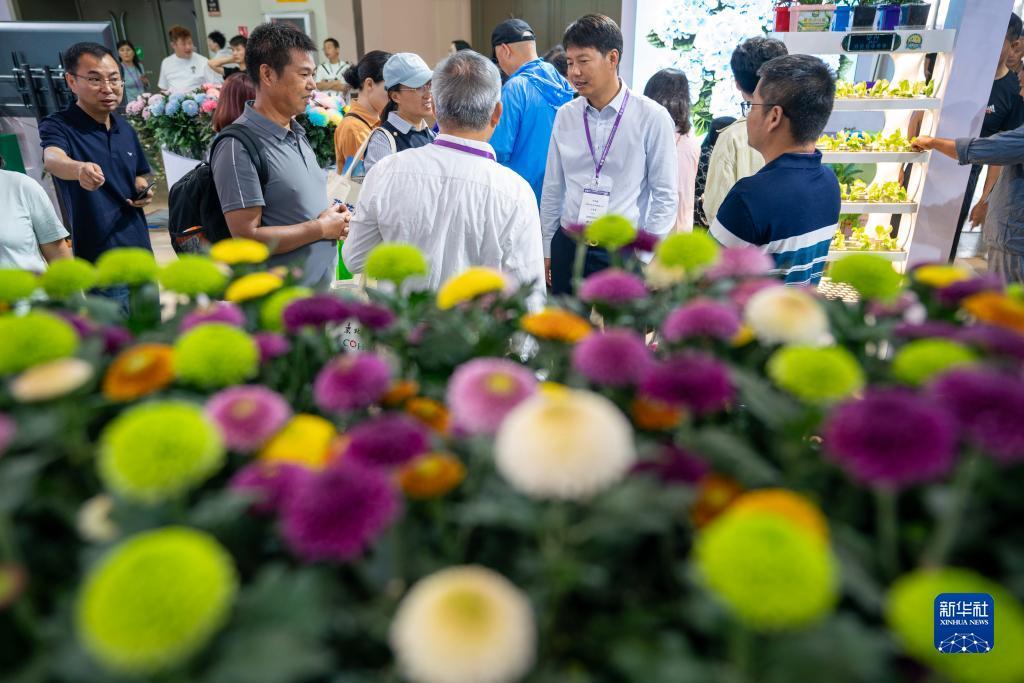 澳门平台广告游戏